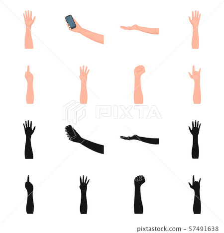 Isolated object of and animated symbol. Collection of and brachioplasty stock vector illustration. 57491638