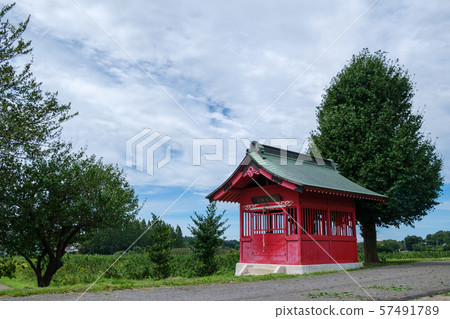 Minuma Benzaiten Minuma Benzaiten 57491789