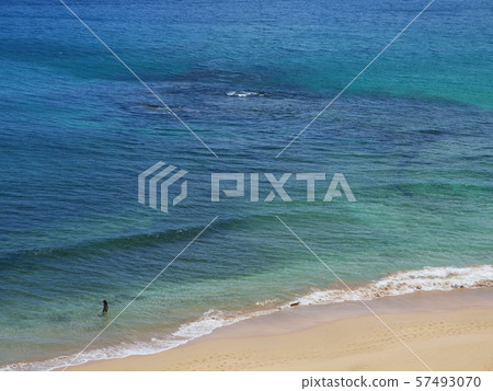 Crab paradise Crab paradise 57493070