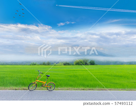green paddy rice field with the bicycle, the road, the beautiful sky and cloud, Thailand fuji mountain. green paddy rice field with the bicycle, the road, the beautiful sky and cloud, Thailand fuji mountain. 57493112