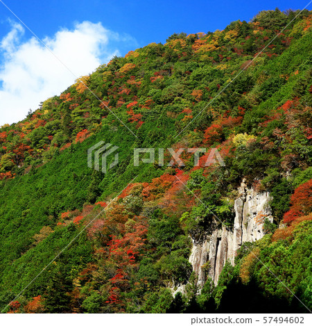 Kaorimoku Autumn leaves Mie prefecture Kaorimoku Autumn leaves Mie prefecture 57494602