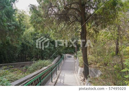 景山公園 57495020