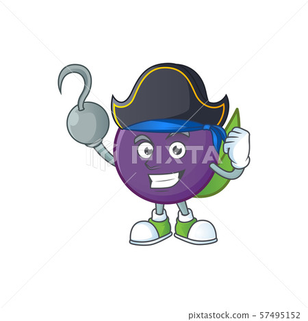 Pirate acai berries cartoon on white background 57495152