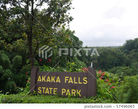 Akaka Falls, Island of Hawaii 57496065