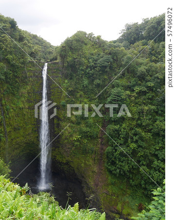 Akaka Falls, Island of Hawaii 57496072