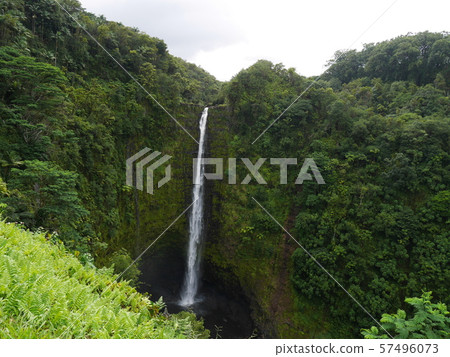 Akaka Falls, Island of Hawaii Akaka Falls, Island of Hawaii 57496073
