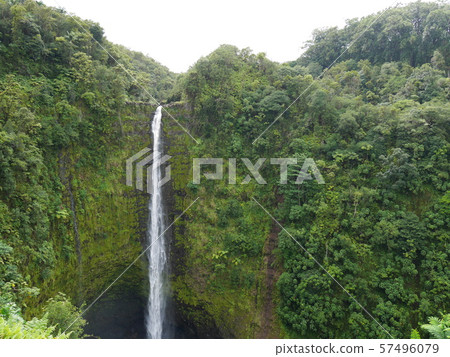 Akaka Falls, Island of Hawaii 57496079
