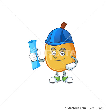 Architect sweet fragrant pear cartoon on white background Architect sweet fragrant pear cartoon on white background 57496323