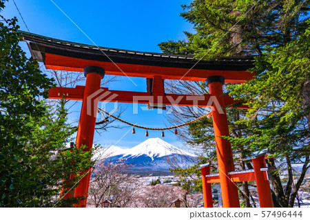 《Yamanashi Prefecture》Mt. Fuji and Torii/Arakurayama Sengen Park 《Yamanashi Prefecture》Mt. Fuji and Torii/Arakurayama Sengen Park 57496444