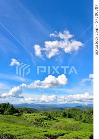 夏天藍天和雲彩 夏天藍天和雲彩 57500387