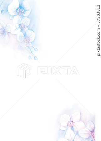 Postcard template phalaenopsis watercolor illustration 57503812