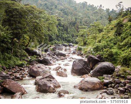 Main tributary of river Teesta, the Rangit river flowing through a dense pristine jungle 57505918