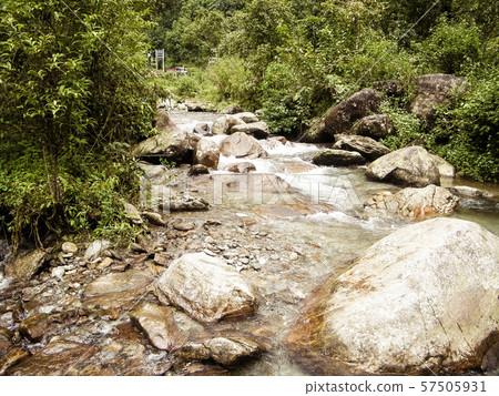 Main tributary of river Teesta, the Rangit river flowing through a dense pristine jungle Main tributary of river Teesta, the Rangit river flowing through a dense pristine jungle 57505931