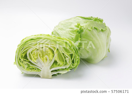 lettuce	 57506171