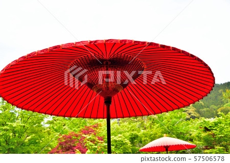 室外茶道傘 室外茶道傘 57506578