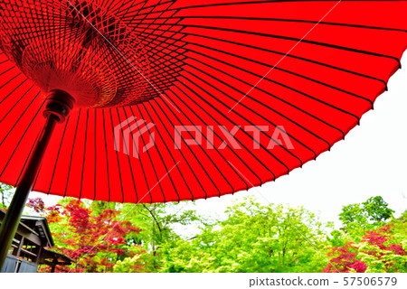 室外茶道傘 室外茶道傘 57506579