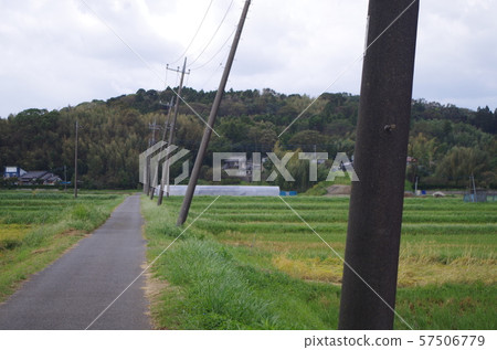 颱風過風的力量 颱風過風的力量 57506779