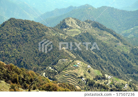 Mountain Terraces in the Himalayas, India Mountain Terraces in the Himalayas, India 57507236