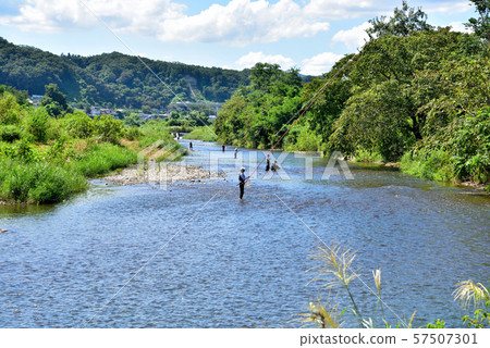 Akiruno-shi Akikawa carp fishing 57507301