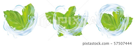 3d realistic mint leaves with splash water. Collection of fresh mint and splash water isolated on 3d realistic mint leaves with splash water. Collection of fresh mint and splash water isolated on 57507444