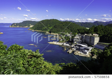 城崎海洋世界（兵庫縣豐岡市） 57508658