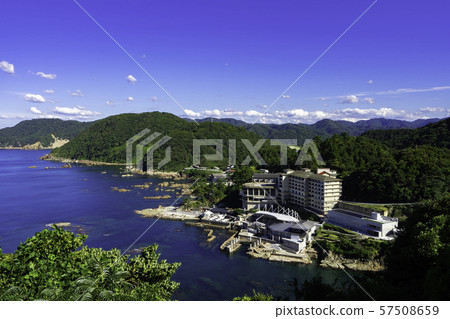 Kinosaki Marine World (Toyooka City, Hyogo Prefecture) 57508659