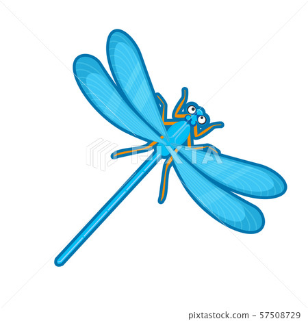 Vector illustration of blue dragonfly 57508729
