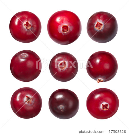 Cranberries v. oxycoccus, paths 57508828