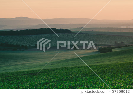 Rural spring landscape 57509012