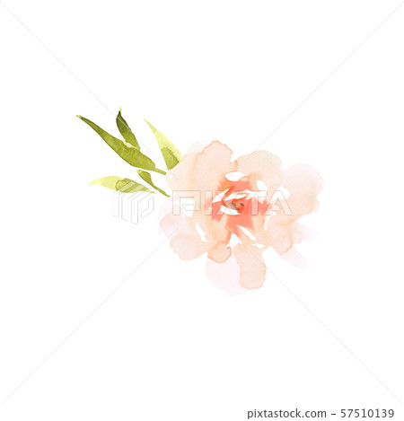 Bright Wedding bridal romanric bouquet. Hand drawing watercolor red and purple and green flowers Bright Wedding bridal romanric bouquet. Hand drawing watercolor red and purple and green flowers 57510139