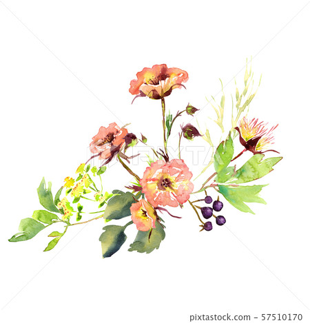 Wedding bridal romanric rustic warm bouquet. Hand drawing watercolor pink and purple and orange Wedding bridal romanric rustic warm bouquet. Hand drawing watercolor pink and purple and orange 57510170