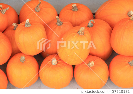 Halloween pumpkin 57510181