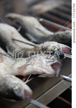 Grilled amago salt 57510789