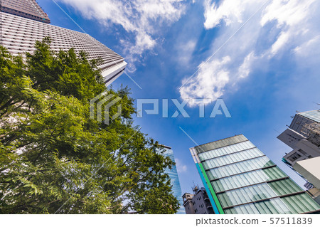 Blue sky and Tokyo Nishi-Shinjuku Buildings 57511839