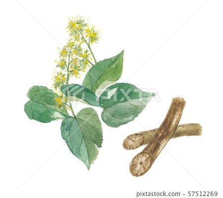 Otsu Samurai Bowie 57512269