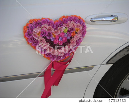 heart heart 57512583