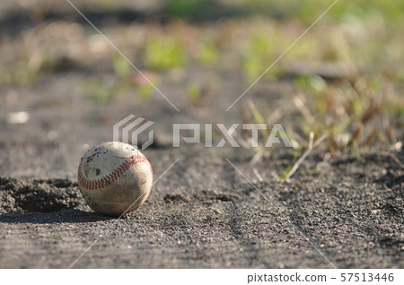 Baseball 57513446