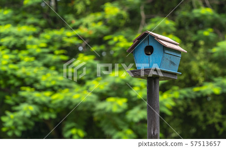 Bird house stands in the park Bird house stands in the park 57513657