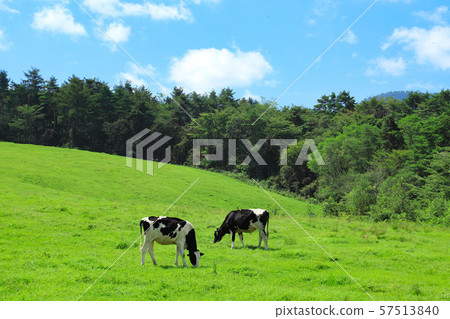 Asama Farm 57513840