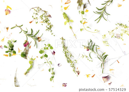 The herbs of Provence. Rosemary, oregano, thyme, and marjoram, shot from above on a background of 57514329