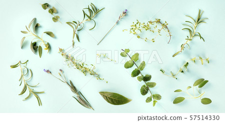 Culinary aromatic herbs on a teal blue background, cooking pattern, panoramic overhead shot Culinary aromatic herbs on a teal blue background, cooking pattern, panoramic overhead shot 57514330