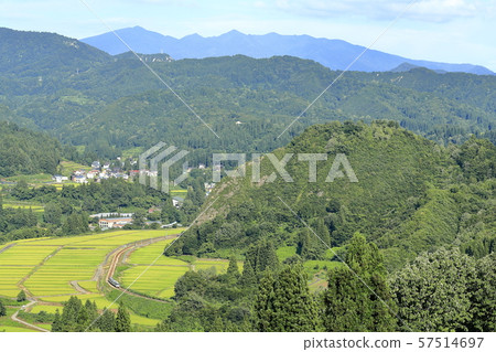 Today's line of summer Today's line of summer 57514697