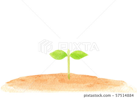 發芽背景例證 發芽背景例證 57514884