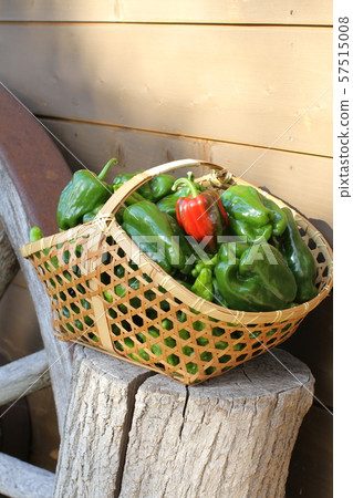 Lots of bell peppers in the basket, summer vegetables Lots of bell peppers in the basket, summer vegetables 57515008