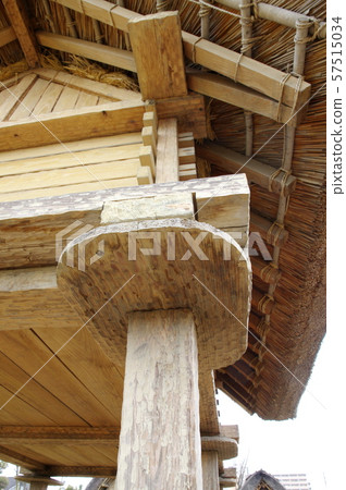 Mouse back Mouse back 57515034