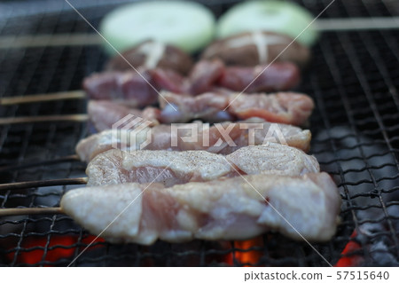 北海道一般燒烤5 57515640