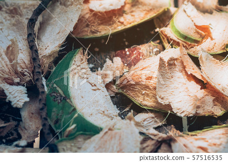 Close up to Coconut peel on the table after being peeled to make coconut juice. 57516535