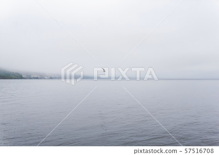 lonely seagull flies over a foggy bay lonely seagull flies over a foggy bay 57516708