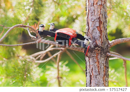 Failed drone crash on the tree and fell down with broken leg and scratched on it cover. 57517427