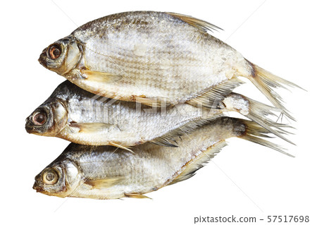 ram fish on a white background 57517698